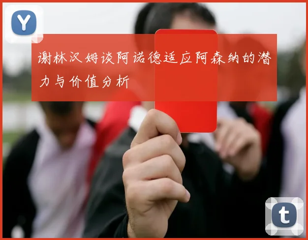 谢林汉姆谈阿诺德适应阿森纳的潜力与价值分析