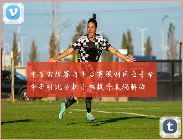 申京常规赛与季后赛限制区出手命中率对比分析小幅提升表现解读