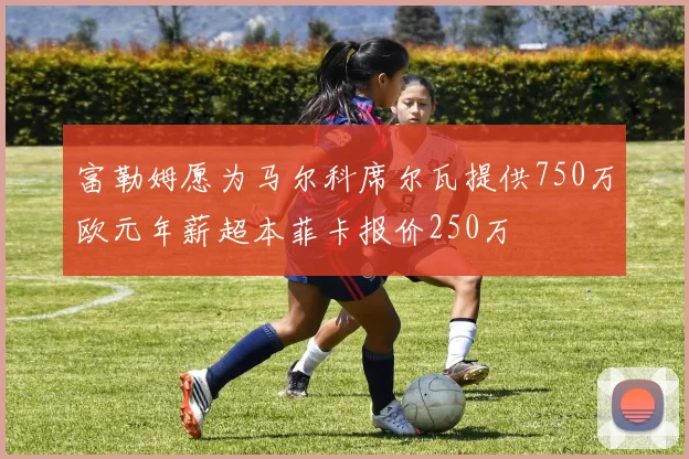 富勒姆愿为马尔科席尔瓦提供750万欧元年薪超本菲卡报价250万